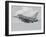 Turkish Air Force F-16 in Flight over Turkey-Stocktrek Images-Framed Photographic Print