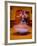 Turkish Dancers in Cappadoccia, Turkey-Darrell Gulin-Framed Photographic Print