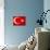 Turkish Flag, North Aegean, Izmir, Turkey-Walter Bibikow-Mounted Photographic Print displayed on a wall