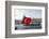 Turkish Flag, Passenger Ferry and Seagulls, Istanbul, Turkey-Ali Kabas-Framed Photographic Print