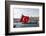 Turkish Flag, Passenger Ferry and Seagulls, Istanbul, Turkey-Ali Kabas-Framed Photographic Print