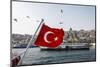 Turkish Flag, Passenger Ferry and Seagulls, Istanbul, Turkey-Ali Kabas-Mounted Photographic Print