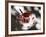 Turkish Tea-Peter Adams-Framed Photographic Print