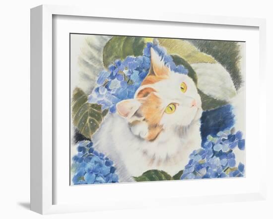 Turkish Van-Anne Robinson-Framed Giclee Print