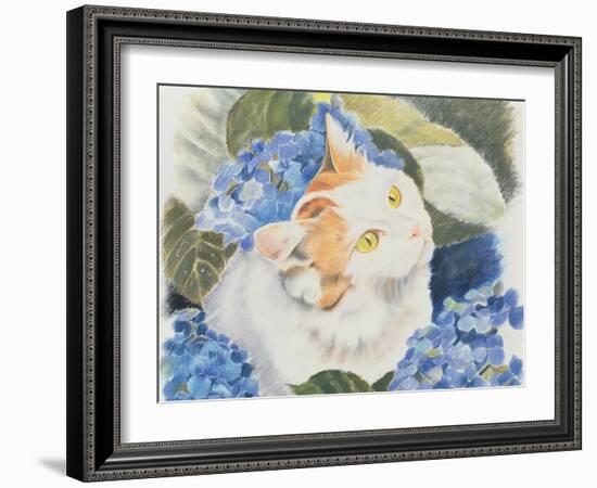 Turkish Van-Anne Robinson-Framed Giclee Print