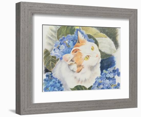 Turkish Van-Anne Robinson-Framed Giclee Print