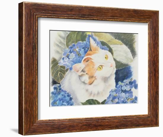 Turkish Van-Anne Robinson-Framed Giclee Print