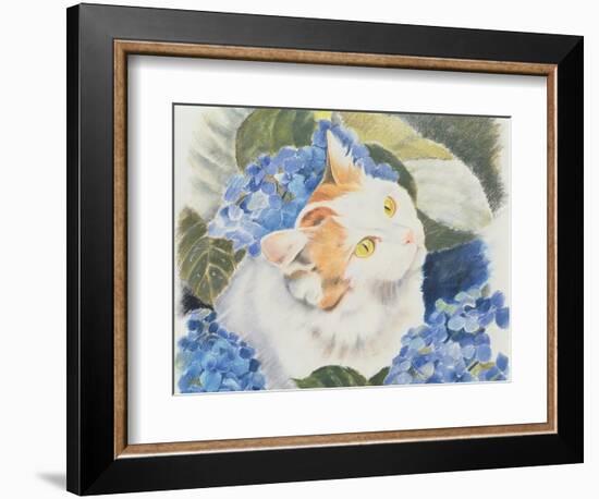 Turkish Van-Anne Robinson-Framed Giclee Print