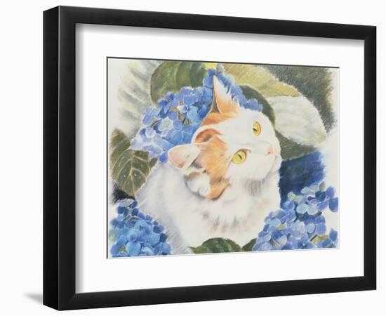 Turkish Van-Anne Robinson-Framed Giclee Print