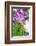 Turmeric Flower, Kerala, India, Asia-Martin Child-Framed Photographic Print