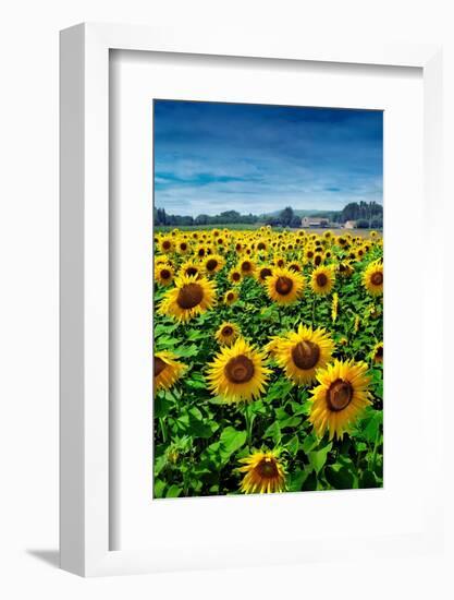 Turn your Face to the Sun-Ben Heine-Framed Photographic Print