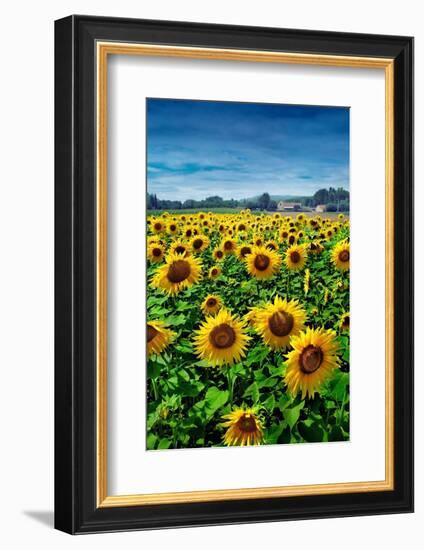 Turn your Face to the Sun-Ben Heine-Framed Photographic Print