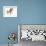 Turning (Przewalski), 2013-Mark Adlington-Framed Giclee Print displayed on a wall
