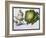 Turnip, Cabbage-Claude Aubriet-Framed Giclee Print