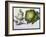 Turnip, Cabbage-Claude Aubriet-Framed Giclee Print