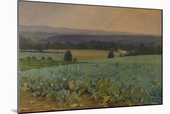 Turnip Field-William Cosens Way-Mounted Giclee Print