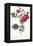 Turnip Roses, Rosa Rapa Flore Semipleno-Pierre Joseph Redoute-Framed Premier Image Canvas