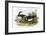 Turnstone-English-Framed Giclee Print