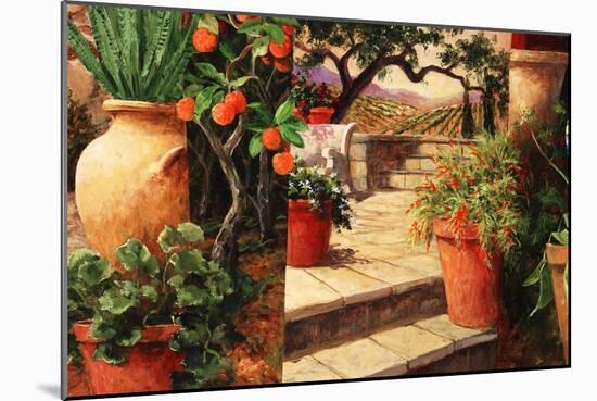 Turo Tuscan Orange-Art Fronckowiak-Mounted Art Print