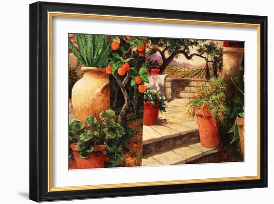 Turo Tuscan Orange-Art Fronckowiak-Framed Art Print