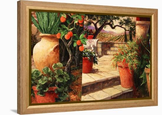 Turo Tuscan Orange-Art Fronckowiak-Framed Stretched Canvas