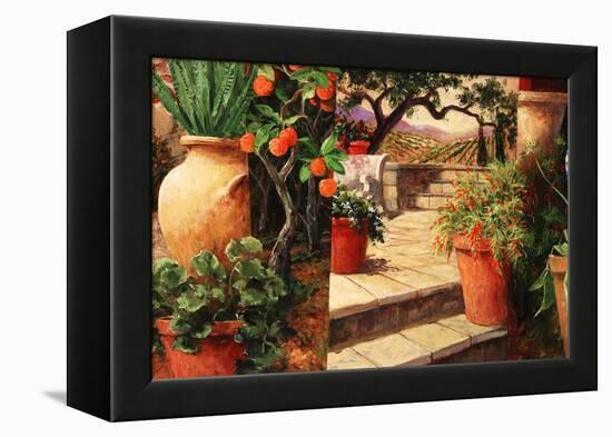 Turo Tuscan Orange-Art Fronckowiak-Framed Stretched Canvas