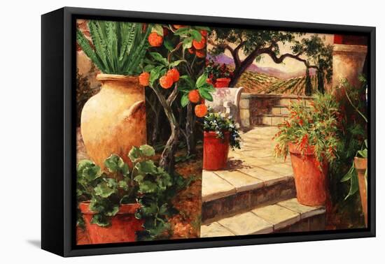 Turo Tuscan Orange-Art Fronckowiak-Framed Stretched Canvas