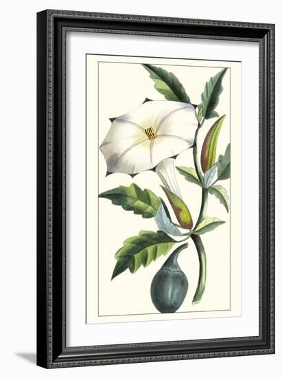 Turpin Exotic Botanical I-Turpin-Framed Art Print