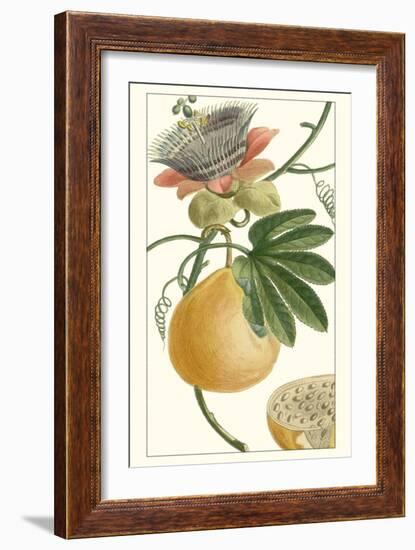 Turpin Exotic Botanical III-Turpin-Framed Art Print