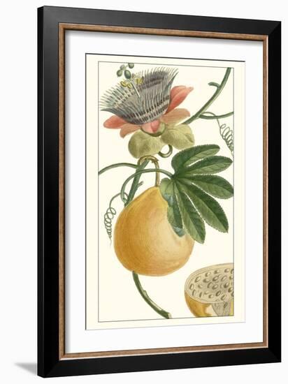 Turpin Exotic Botanical III-Turpin-Framed Art Print