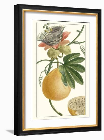 Turpin Exotic Botanical III-Turpin-Framed Art Print