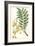 Turpin Exotic Botanical IX-Turpin-Framed Art Print