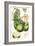 Turpin Exotic Botanical VI-Turpin-Framed Art Print