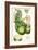 Turpin Exotic Botanical VI-Turpin-Framed Art Print