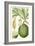 Turpin Exotic Botanical VIII-Turpin-Framed Art Print