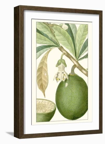 Turpin Exotic Botanical VIII-Turpin-Framed Art Print