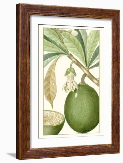 Turpin Exotic Botanical VIII-Turpin-Framed Art Print