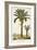 Turpin Exotic Palms IV-null-Framed Art Print