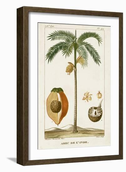 Turpin Exotic Palms V-null-Framed Art Print