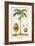 Turpin Exotic Palms V-null-Framed Art Print