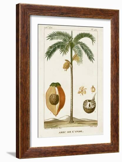 Turpin Exotic Palms V-null-Framed Art Print