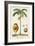 Turpin Exotic Palms V-null-Framed Art Print