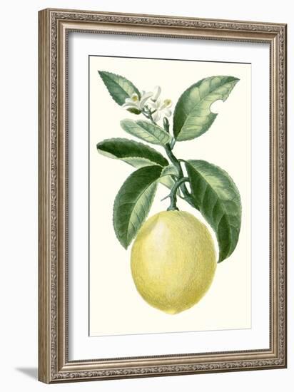 Turpin Fruit I-null-Framed Art Print