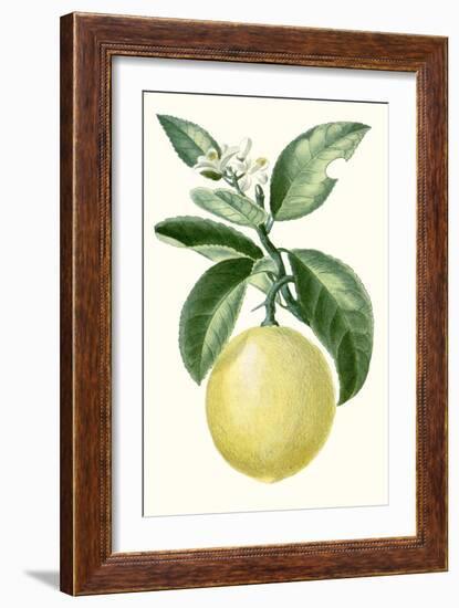 Turpin Fruit I-null-Framed Art Print