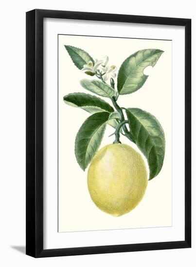 Turpin Fruit I-null-Framed Art Print