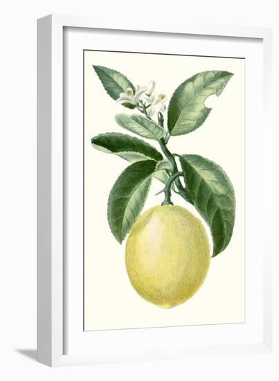 Turpin Fruit I-null-Framed Art Print