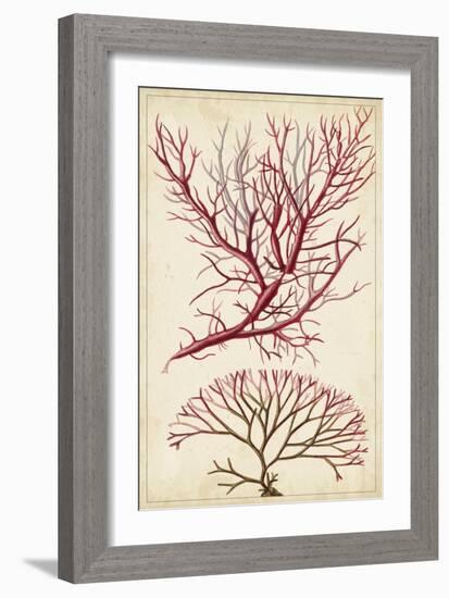 Turpin Seaweed V-Turpin-Framed Art Print