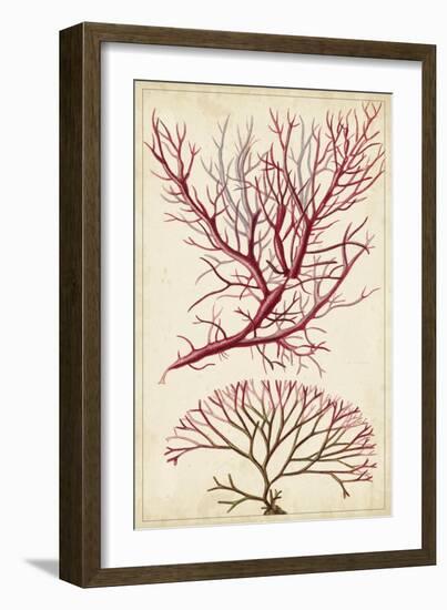 Turpin Seaweed V-Turpin-Framed Art Print