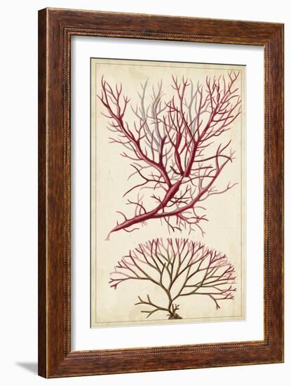 Turpin Seaweed V-Turpin-Framed Art Print