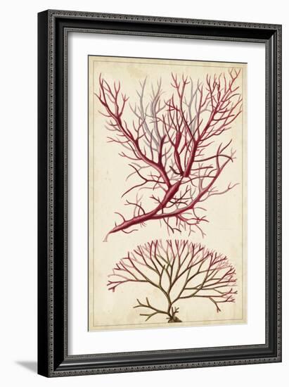 Turpin Seaweed V-Turpin-Framed Art Print